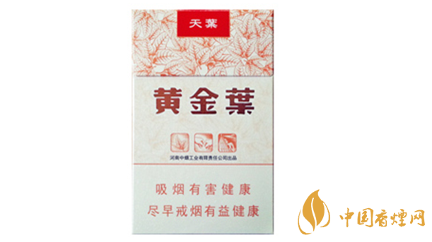 黃金葉天葉真?zhèn)卧趺幢鎰e？天葉真假如何看？