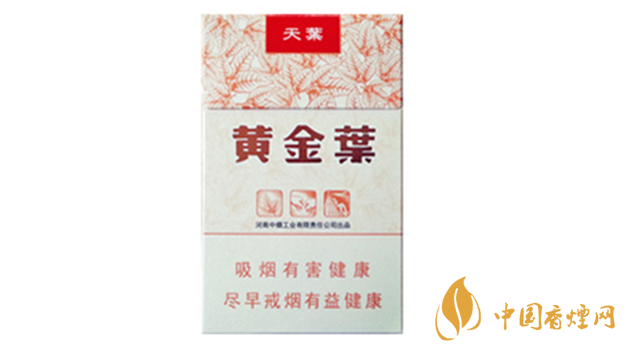 黃金葉天葉真假怎樣區分？黃金葉天葉真假識別