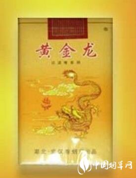 黃金龍(軟黃)