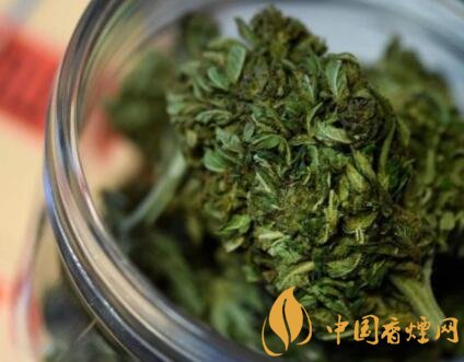泰國煙草局將扶持煙農(nóng)改種大麻