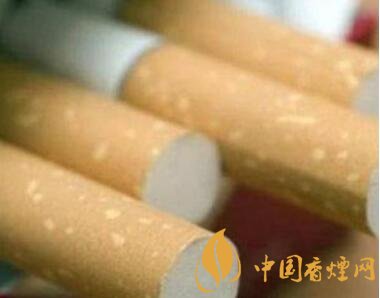 土耳其2018年消費了1185億支卷煙創歷史新高