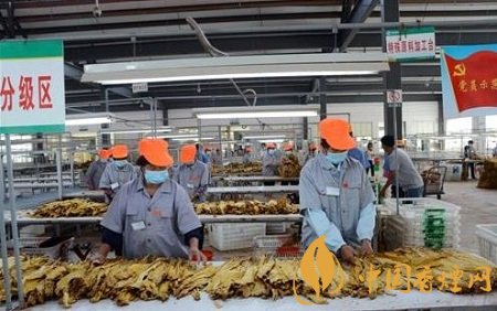 龍巖市局(公司)推行種采烤分一體化工作