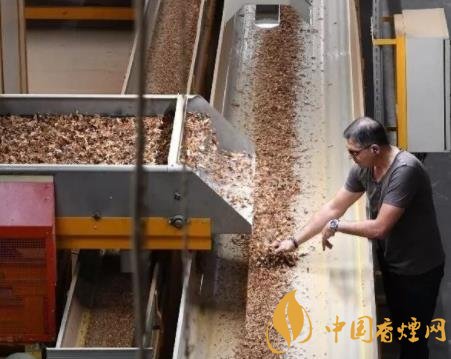 法國最后一家煙草工廠即將停產(chǎn) 法國煙草行業(yè)走向沒落