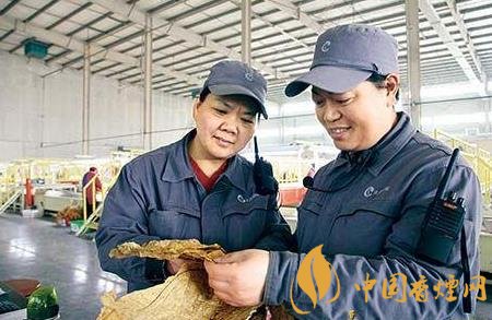 江西中煙贛州卷煙廠制絲車間狠抓創新促管理水平提升！